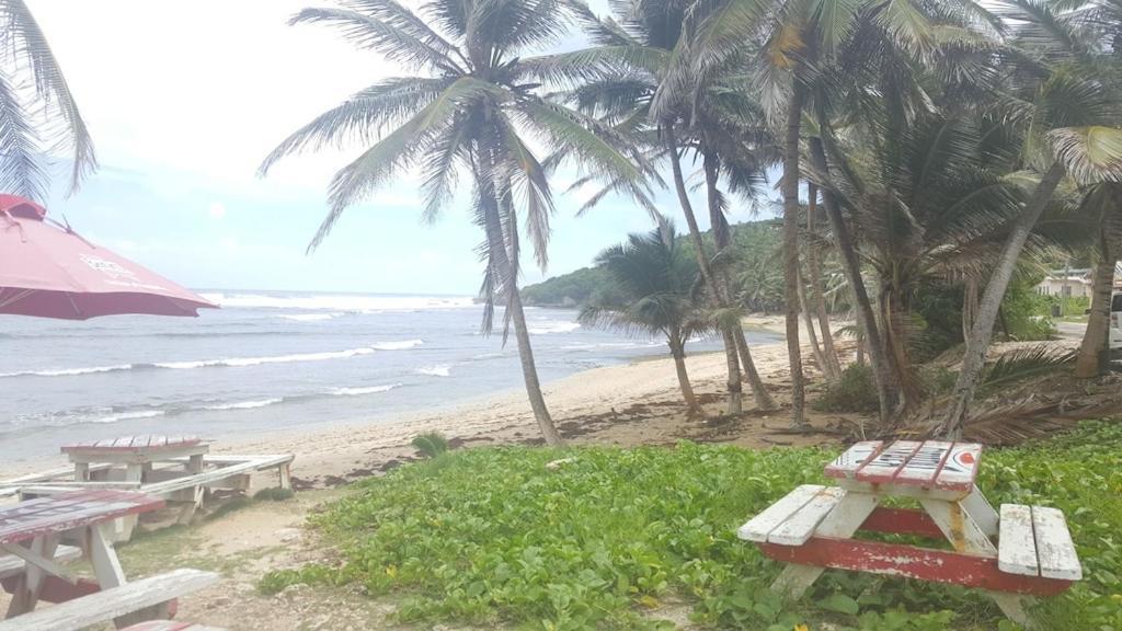 Donamae 2 Story Barbados House Villa Bridgetown Buitenkant foto